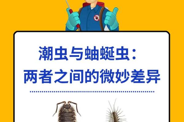家里风水_家里突然出现多个潮虫是什么征兆