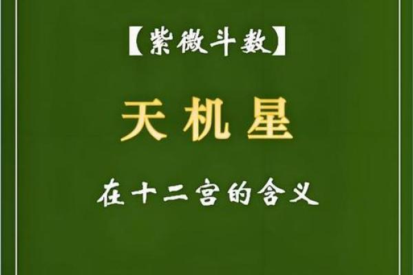 紫微斗数诸星落诸宫之:天机星迁移宫详解 紫微斗数诸星落诸宫之:天机星迁移宫详解