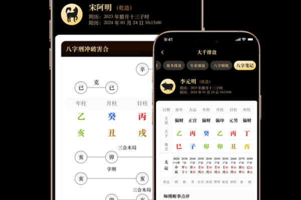 八字排盘算命破解版