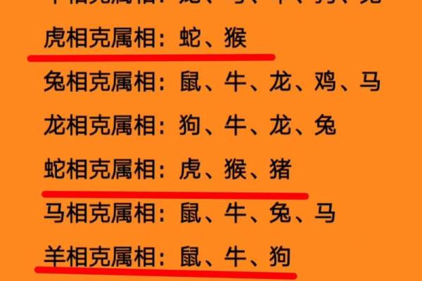 鼠和兔八字合不合 鼠兔八字相合吗