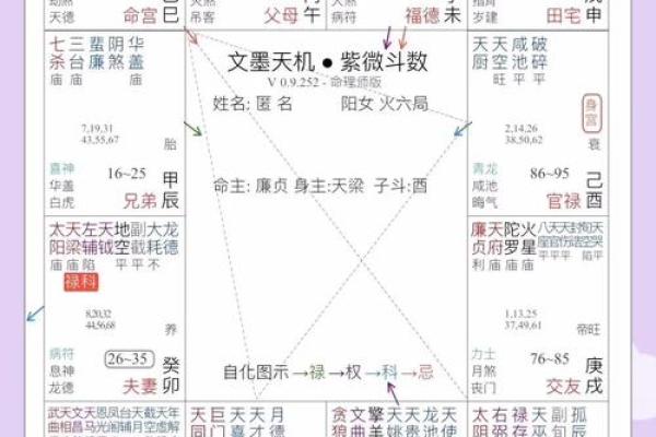 紫薇斗数农历木三局表格图