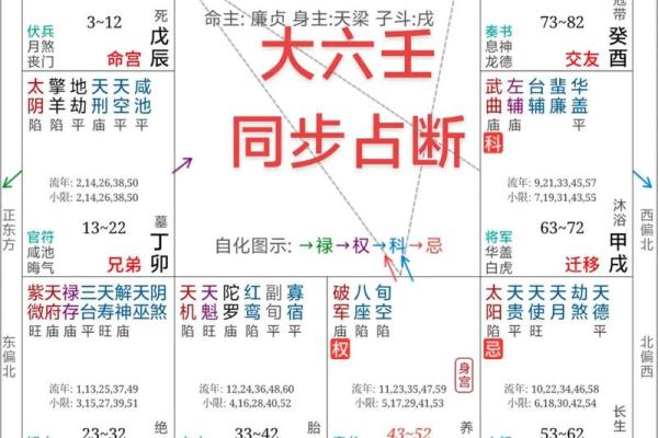 倪海厦天纪紫薇斗数排盘
