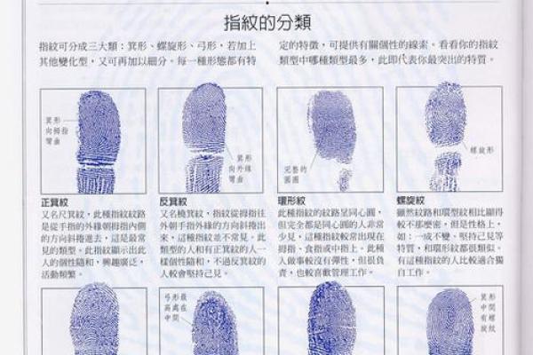手相指纹算命图解