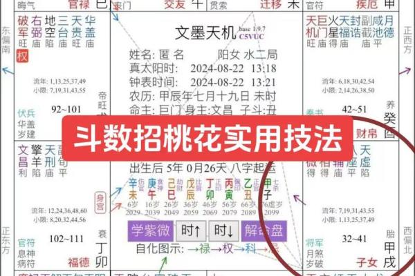 紫微斗数看进财迹象 紫微斗数看财源？