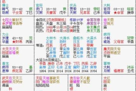 紫薇斗数男命命宫紫薇