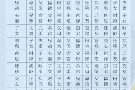 魏宏卿紫薇斗数的简单介绍