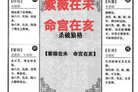 紫薇斗数水宫