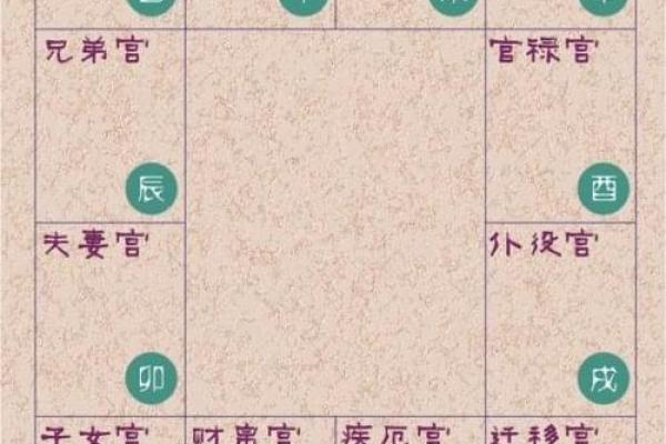 老公性格紫薇斗数