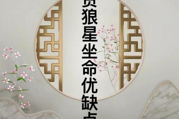 看紫薇斗数贪狼