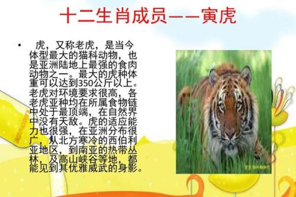 化险为夷的灵签是什么生肖