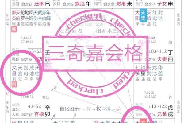 紫微斗数术语解释之：格局