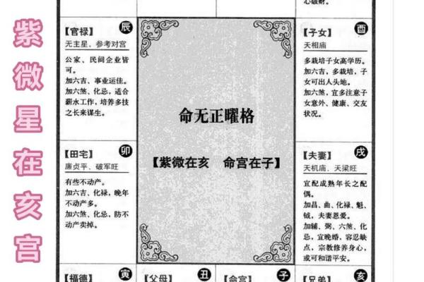 紫薇斗数桃花运