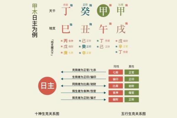 八字十神——家族关系谱