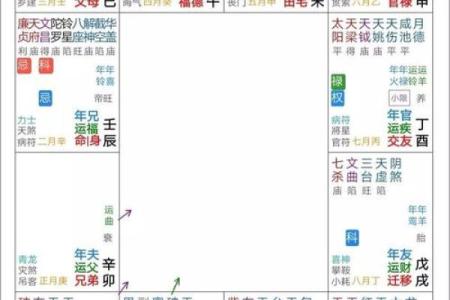 紫微斗数四化飞星在线排盘 紫薇斗数四化飞星？
