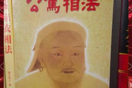 紫薇斗数进阶书