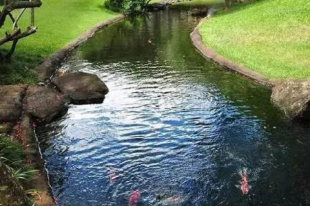 西边有池塘风水