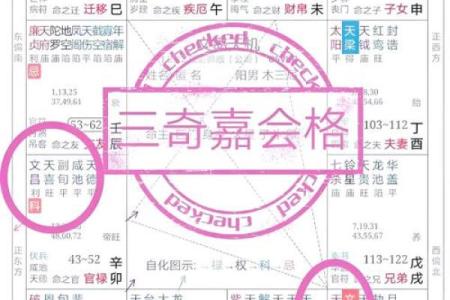 紫微斗数术语解释之：格局