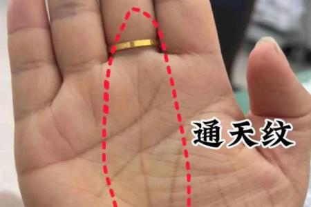 手相风水双手川字掌的女人命运如何