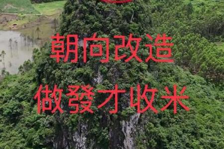 大富贵坟地风水顺口溜