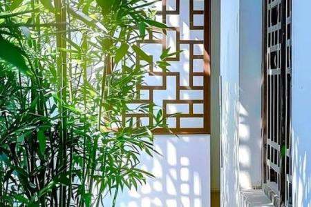 房子旁边竹子风水