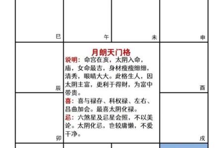 预测包括紫薇斗数