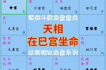 紫薇斗数地盘有什么用
