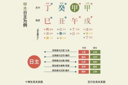 八字十神——家族关系谱