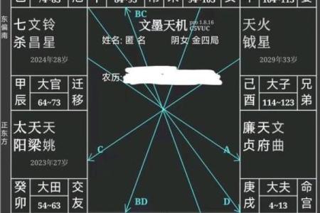 紫微斗数诸星落诸宫之：廉贞星财帛宫详解