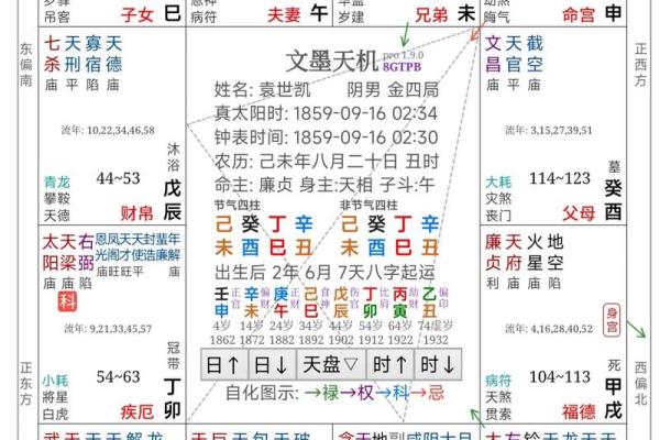 南辰紫薇斗数