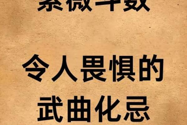 南辰紫薇斗数