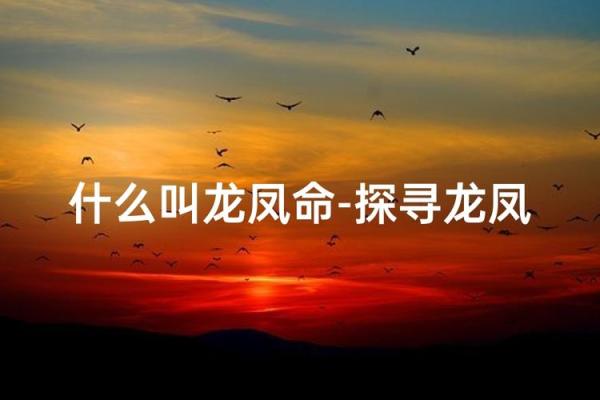 有龙凤命的八字特征