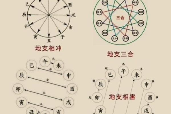 八字六合的午未是合化火还是合化土？