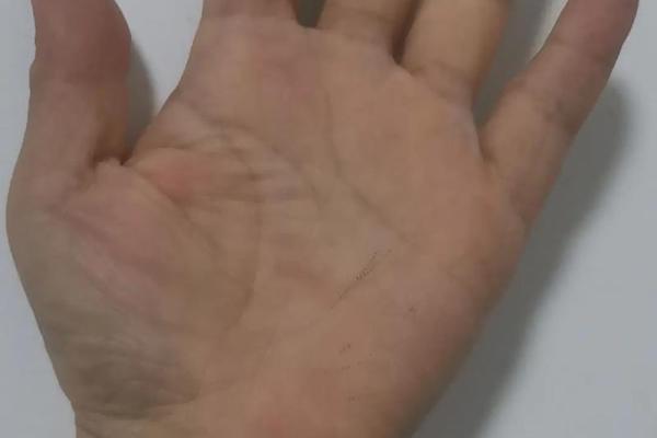 算命的老头看手相吗