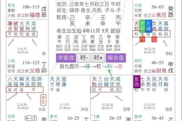 紫薇斗数得得旺