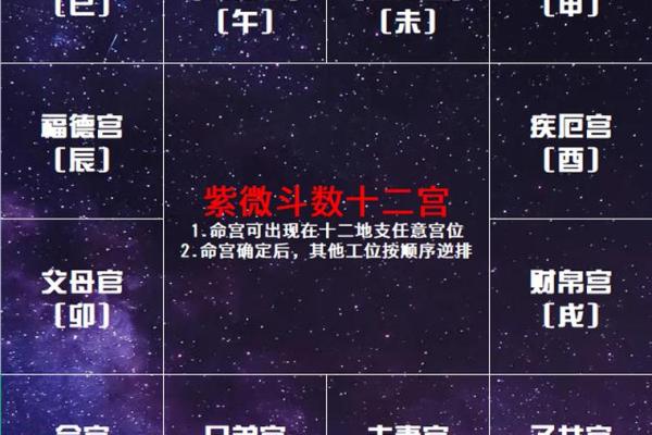 紫薇斗数各宫位