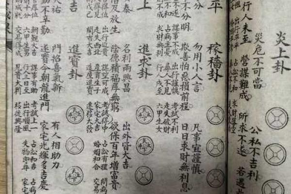 白鹤神数量指算命
