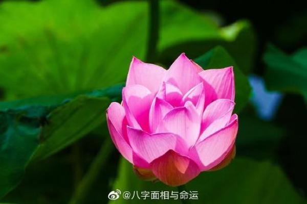 八字藏剑和，揭秘运势变化！
