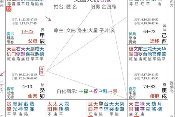 紫薇星辰斗数app