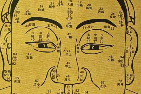耳朵算命耳朵看运势大全,耳朵命运图解