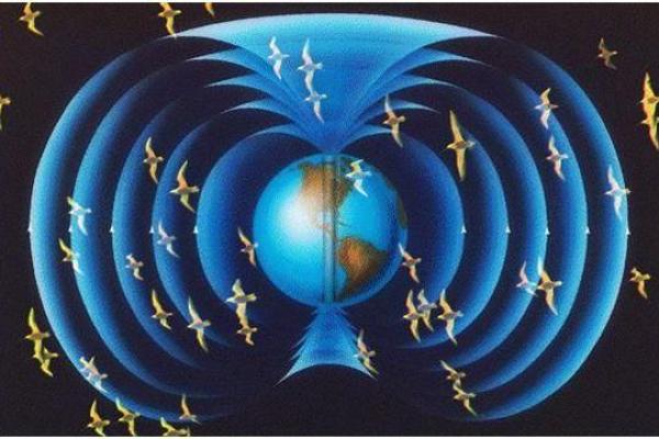 紫薇斗数太阳迁徙