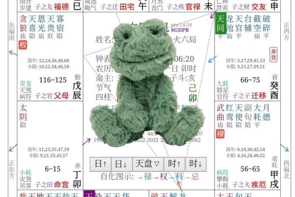 学习紫薇斗数入门推荐