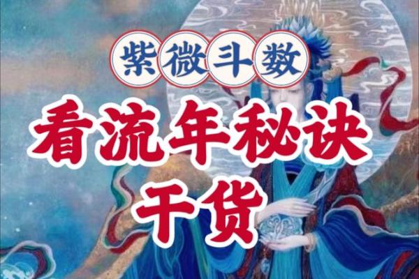 紫薇斗数看贵气