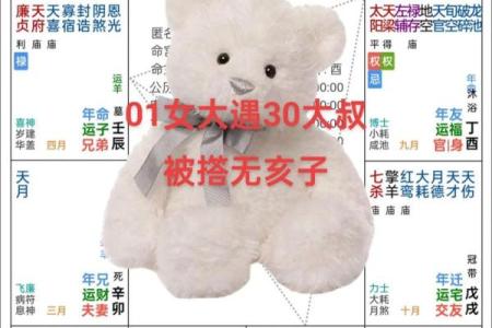 文曲紫薇斗数