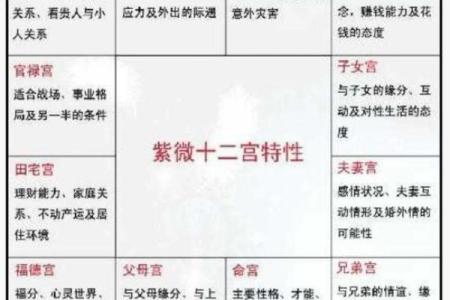紫微斗数诸星落诸宫之：天机星夫妻宫详解