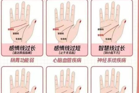 在线扫一扫测手相算命,扫一扫测手相算命免费