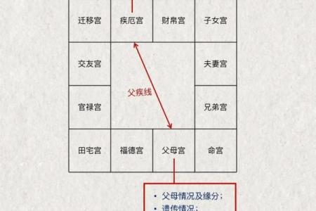 紫薇斗数初级