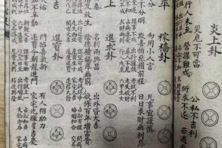 白鹤神数量指算命