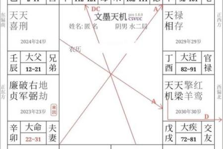 紫薇斗数看品行