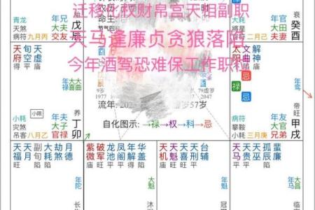 紫薇斗数批流年男顺女逆