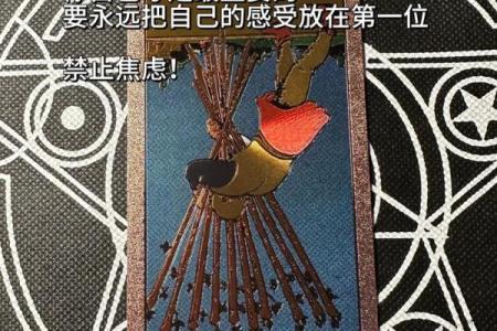 塔罗牌测试九月学习运